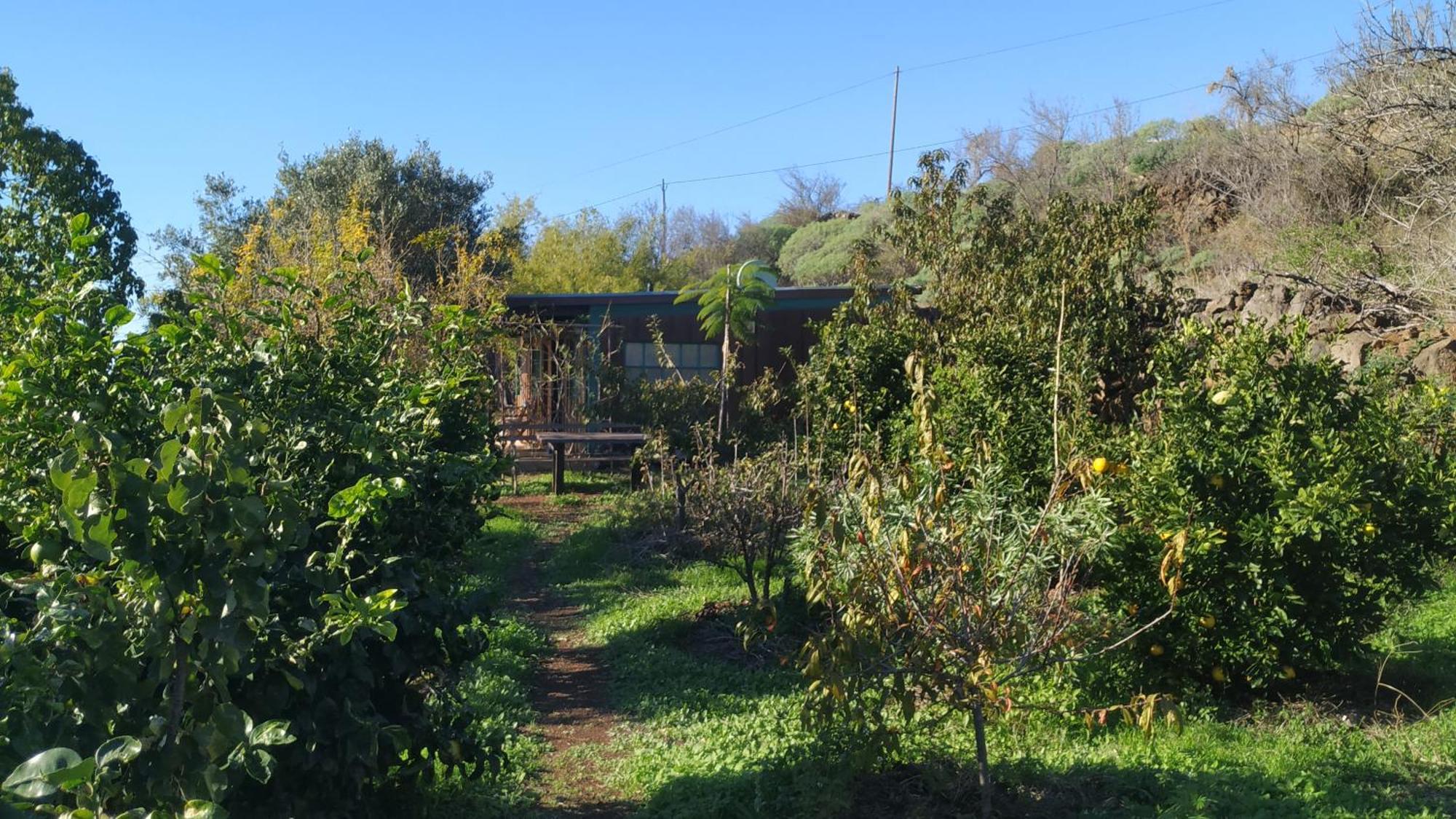 Finca Panorama Tijarafe Zewnętrze zdjęcie